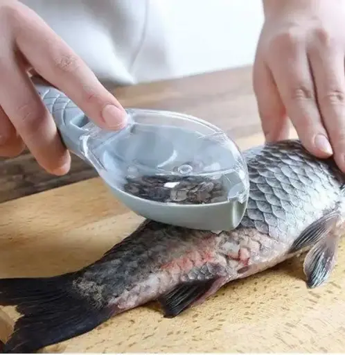 Fish Scale 
